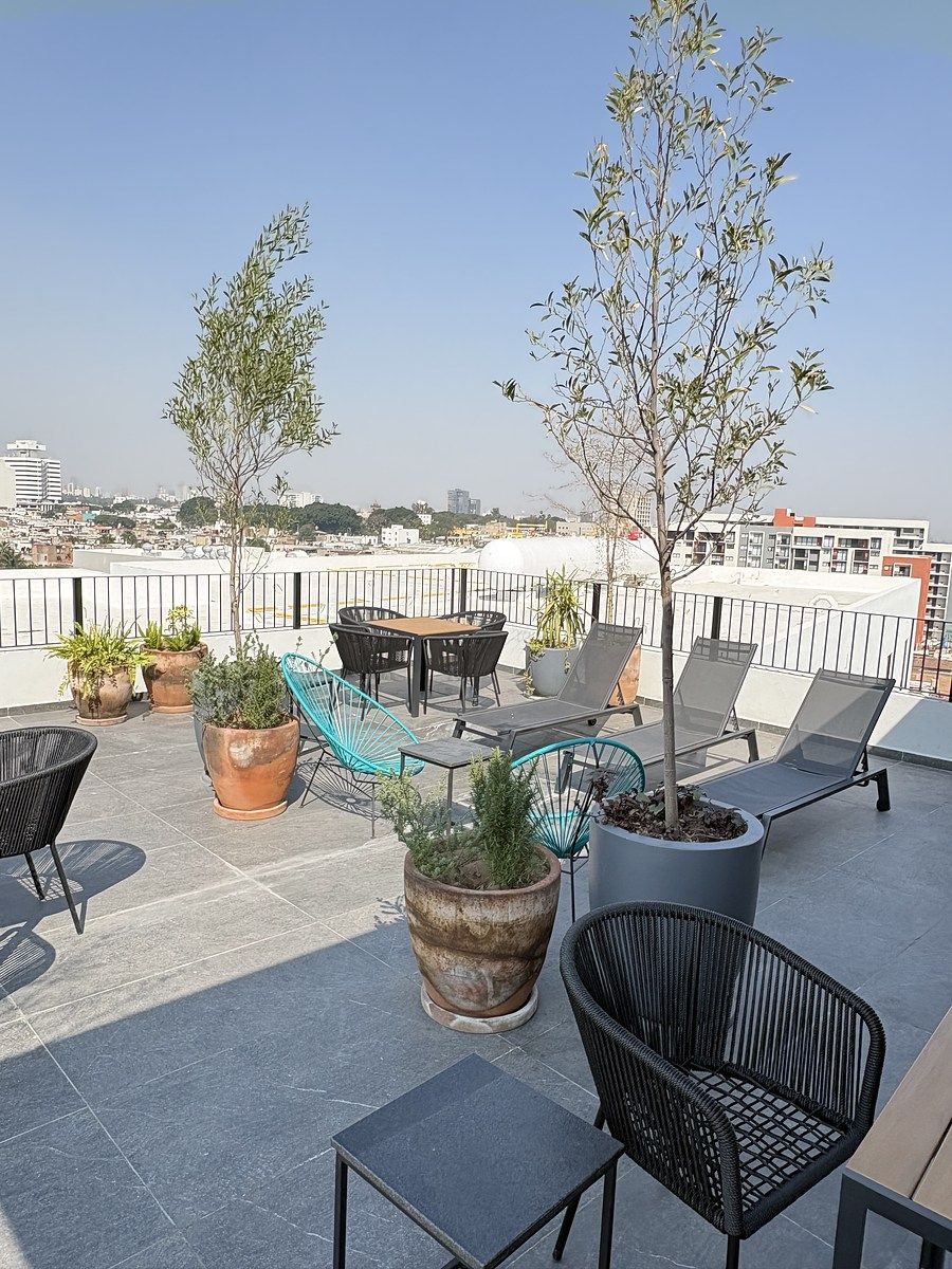 6 de 16: Roof garden