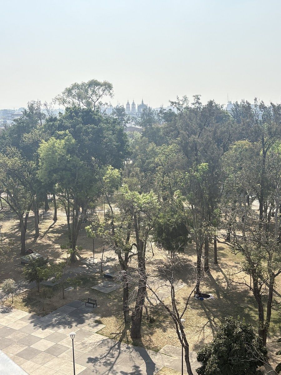 11 de 16: Vista parque Morelos