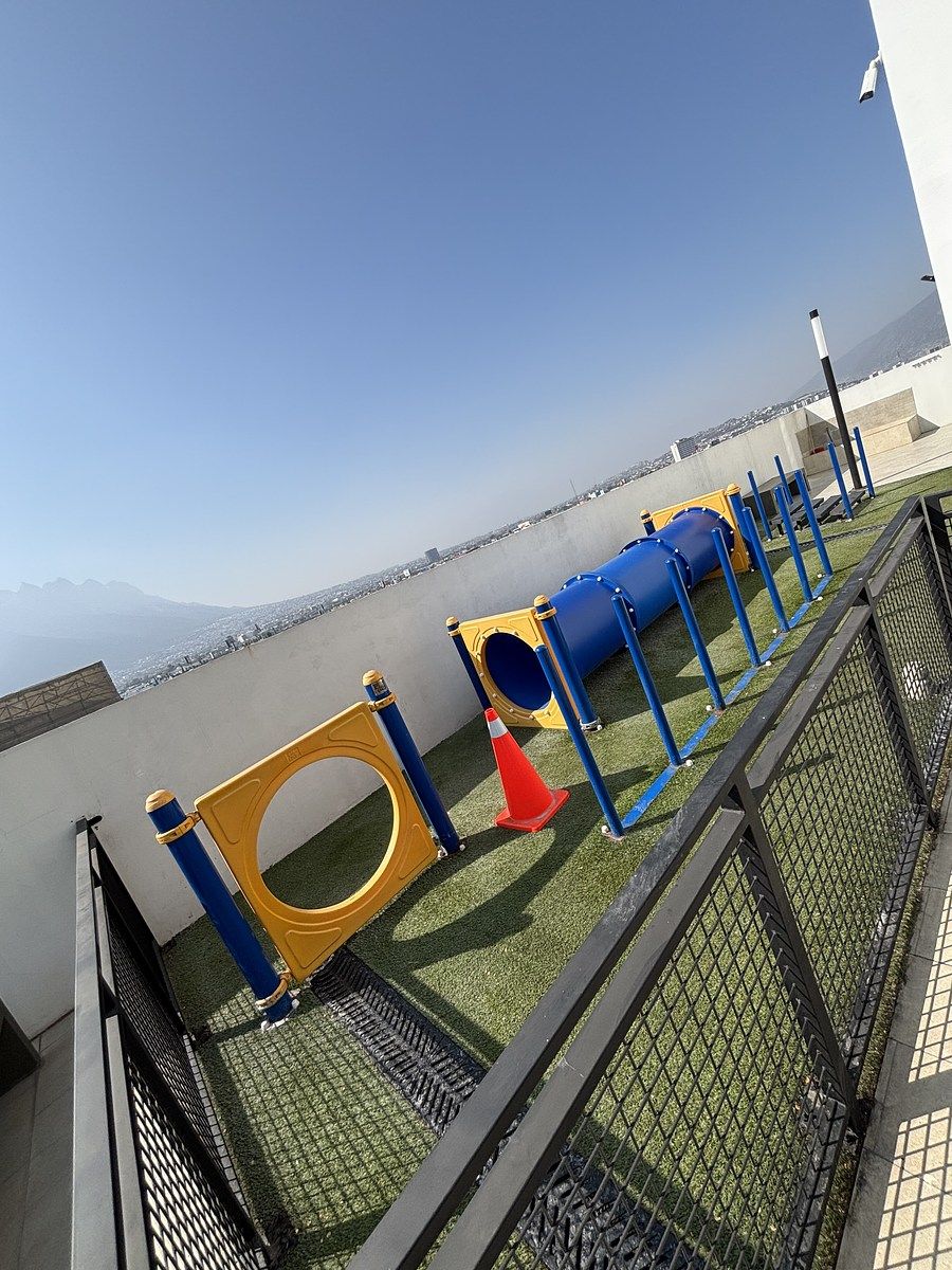 23 of 23: Petfriendly