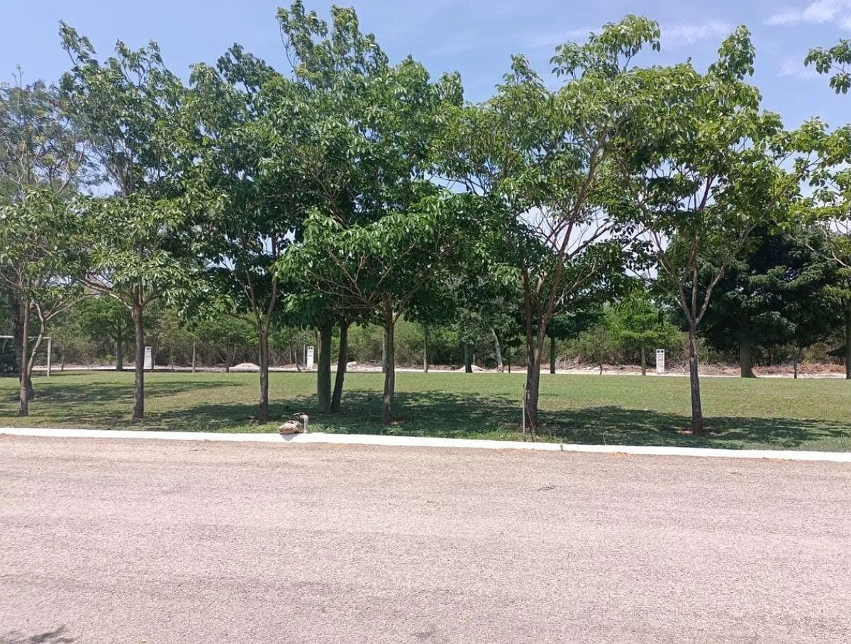 Terreno en Paraíso, Progreso, foto 12 de 12