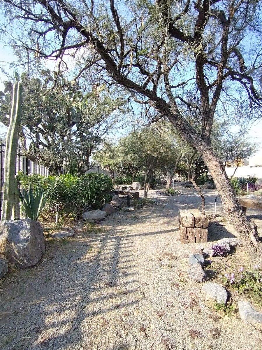 16 of 19: Área para caminar