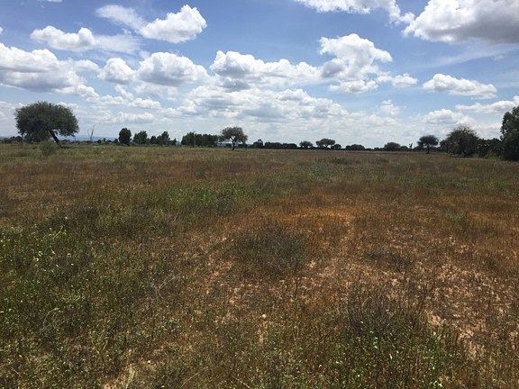 Terreno en Venta - San Luis de la Paz - TE214 - foto 1