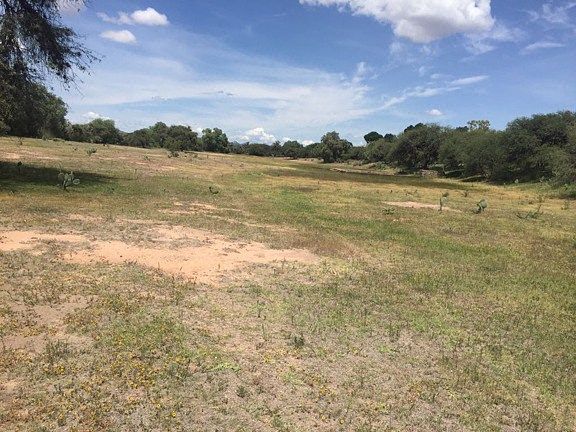 Terreno en Venta - San Luis de la Paz - TE214 - foto 2