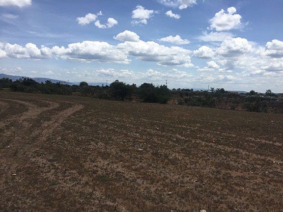 Terreno en Venta - San Luis de la Paz - TE214 - foto 5