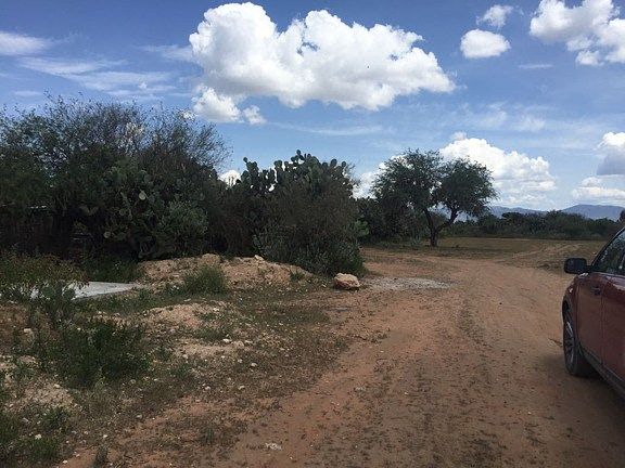 Terreno en Venta - San Luis de la Paz - TE214 - foto 4