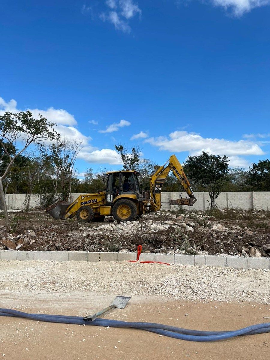 12 de 17: AVANCE 2026