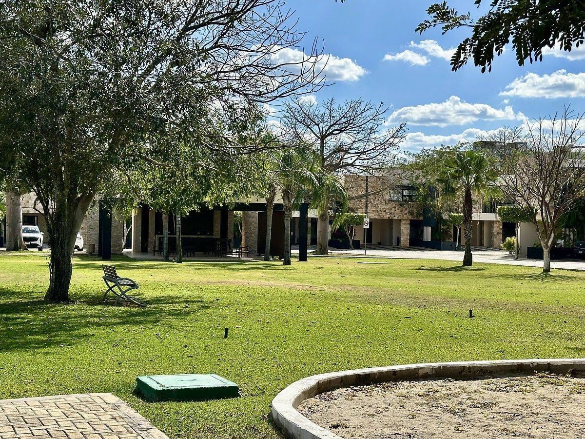 40 of 48: area verde