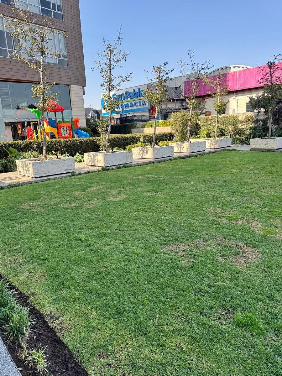 16 de 20: Amenidades