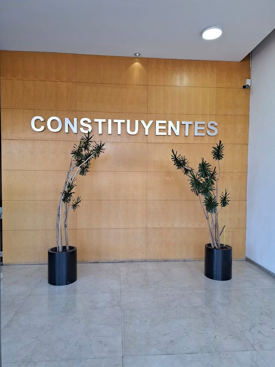 12 of 12: Recepción