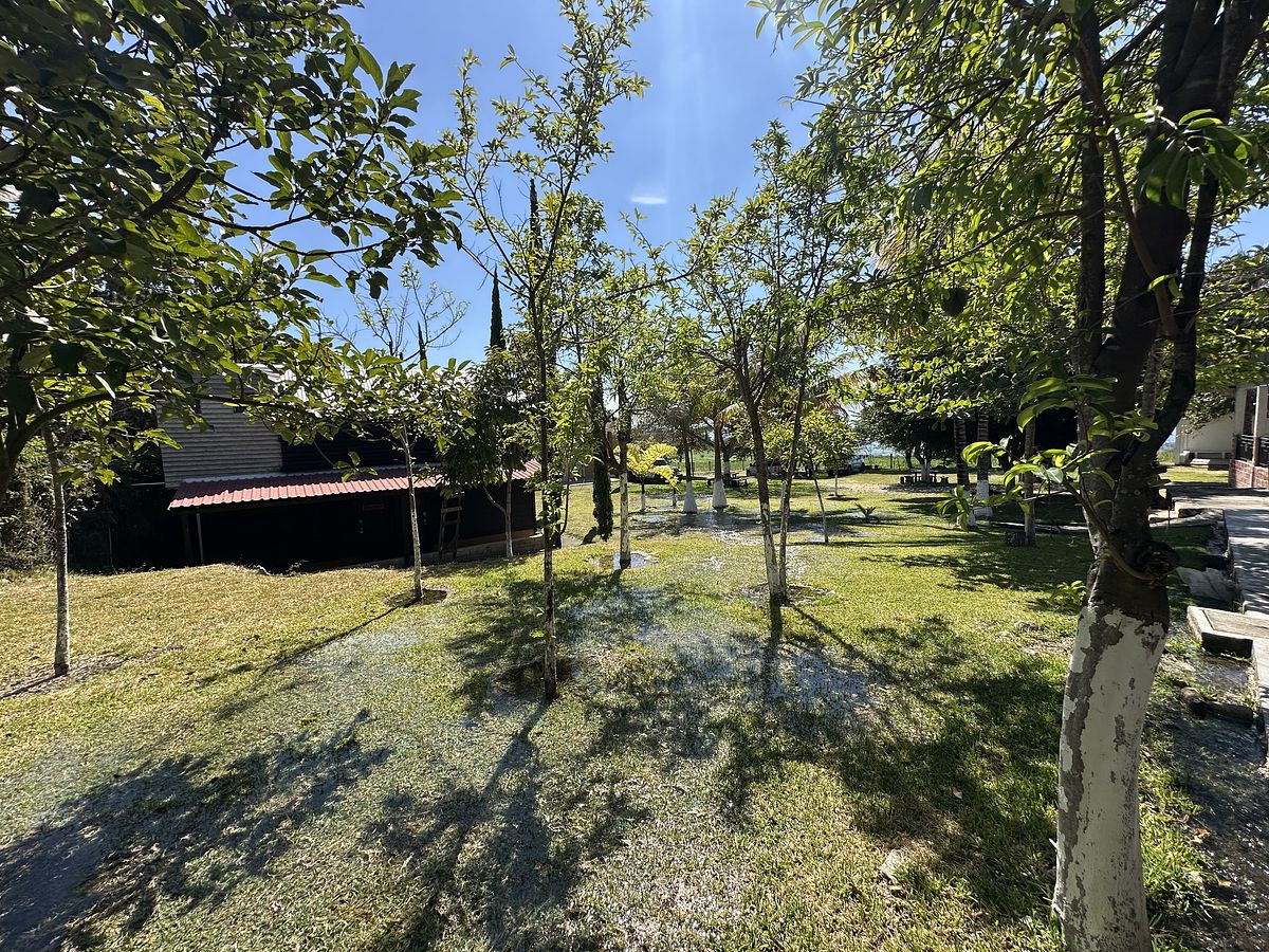 Villa in Las Rosas Centro, Las Rosas, photo 20 of 48