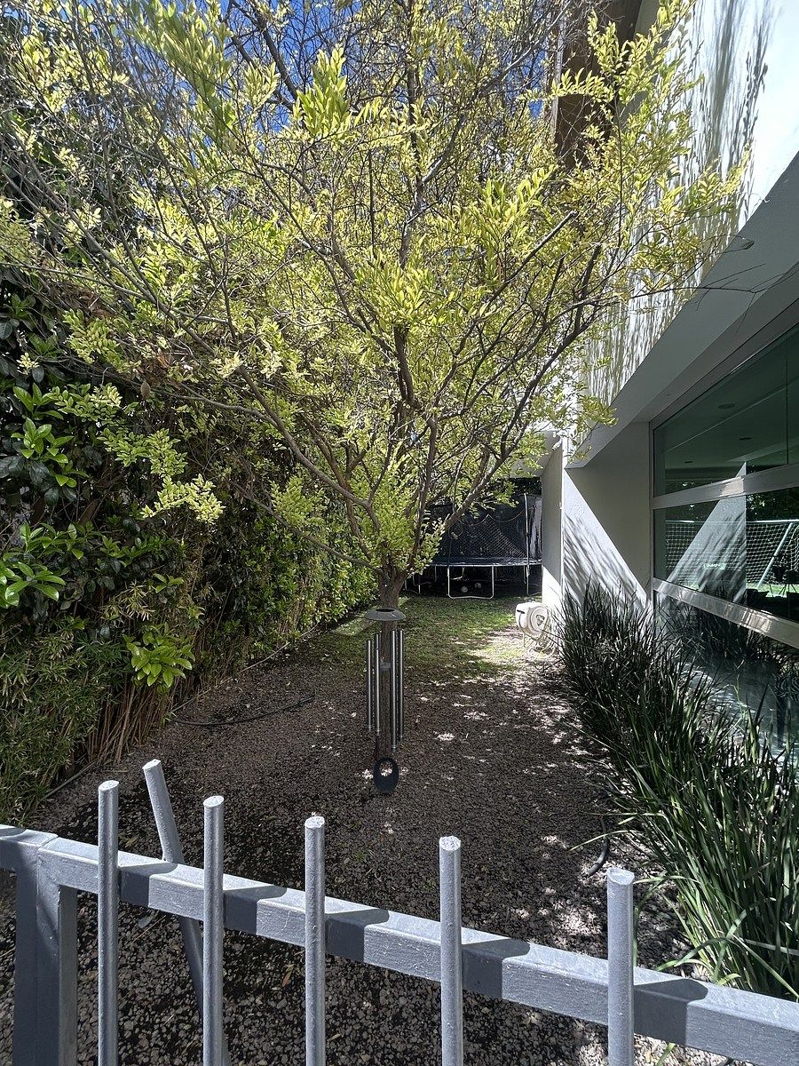 34 de 34: Jardín lateral