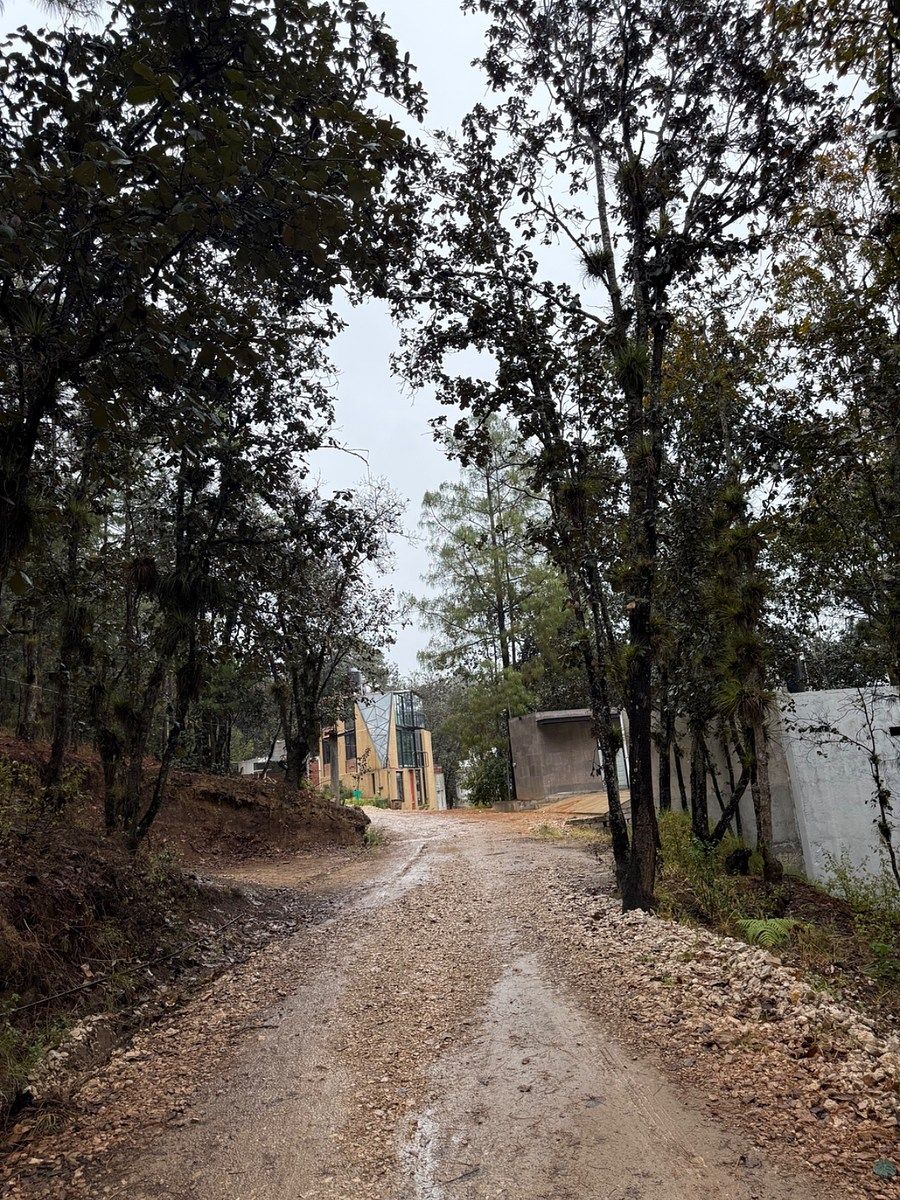 TERRENO EN VENTA UBICADO EN ALCANFORES - foto 3