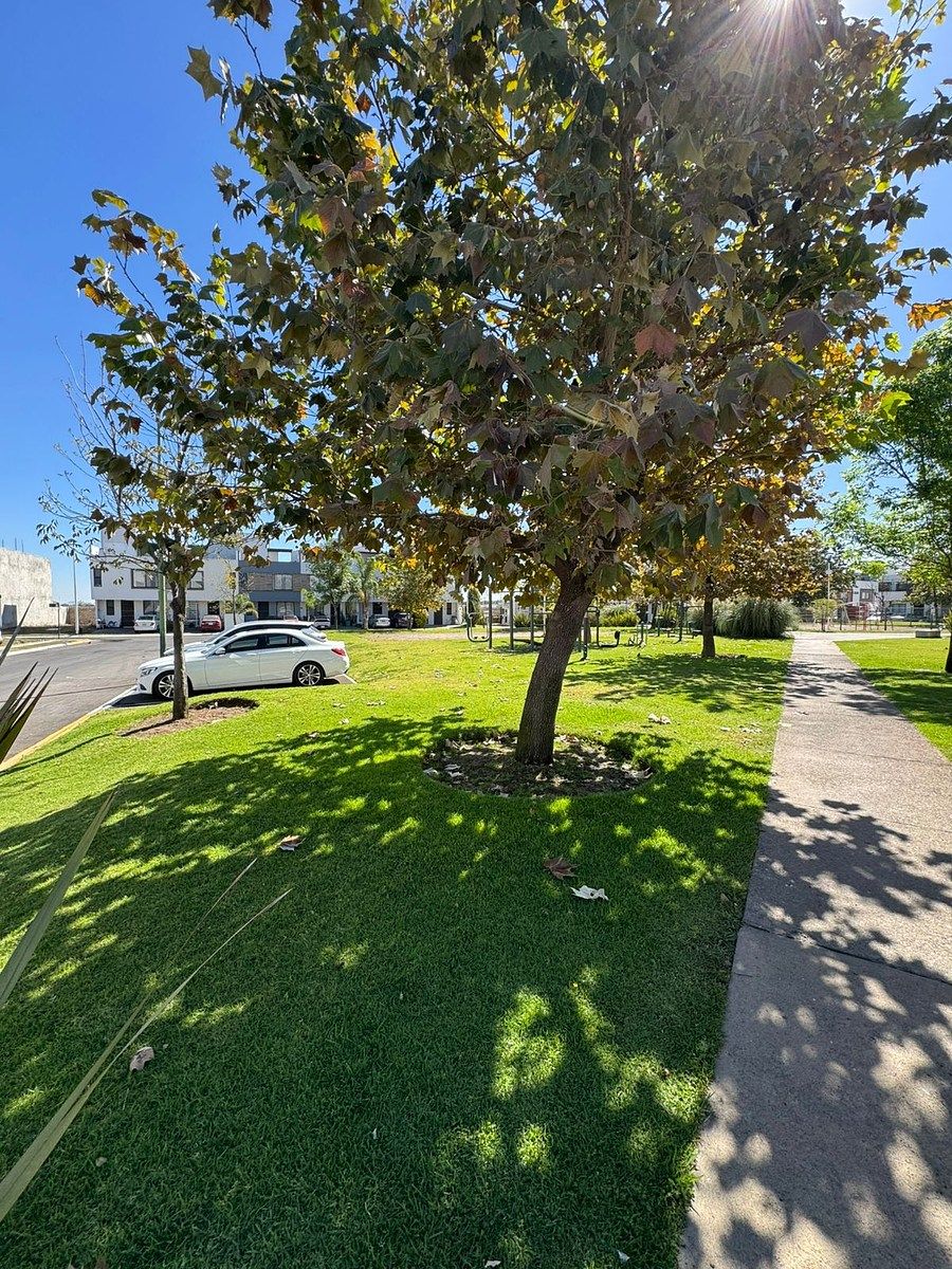 18 of 20: Parque/Estacionamiento de visitas.