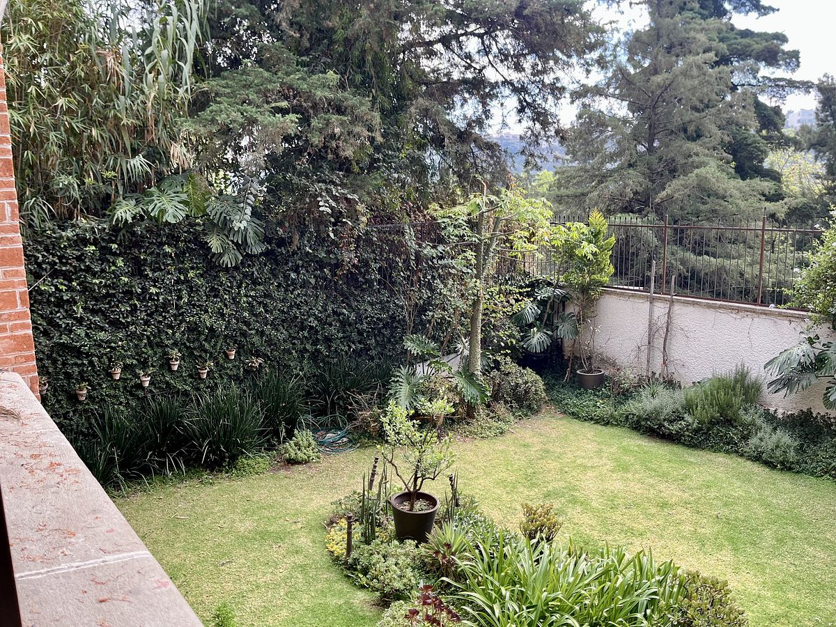 10 de 30: Vista al jardin