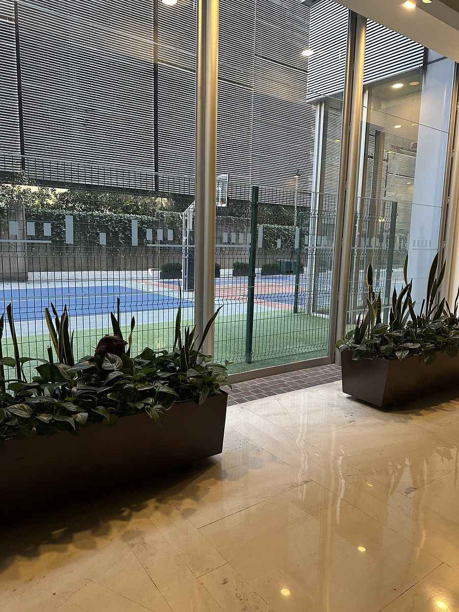 27 de 38: Cancha pickle ball