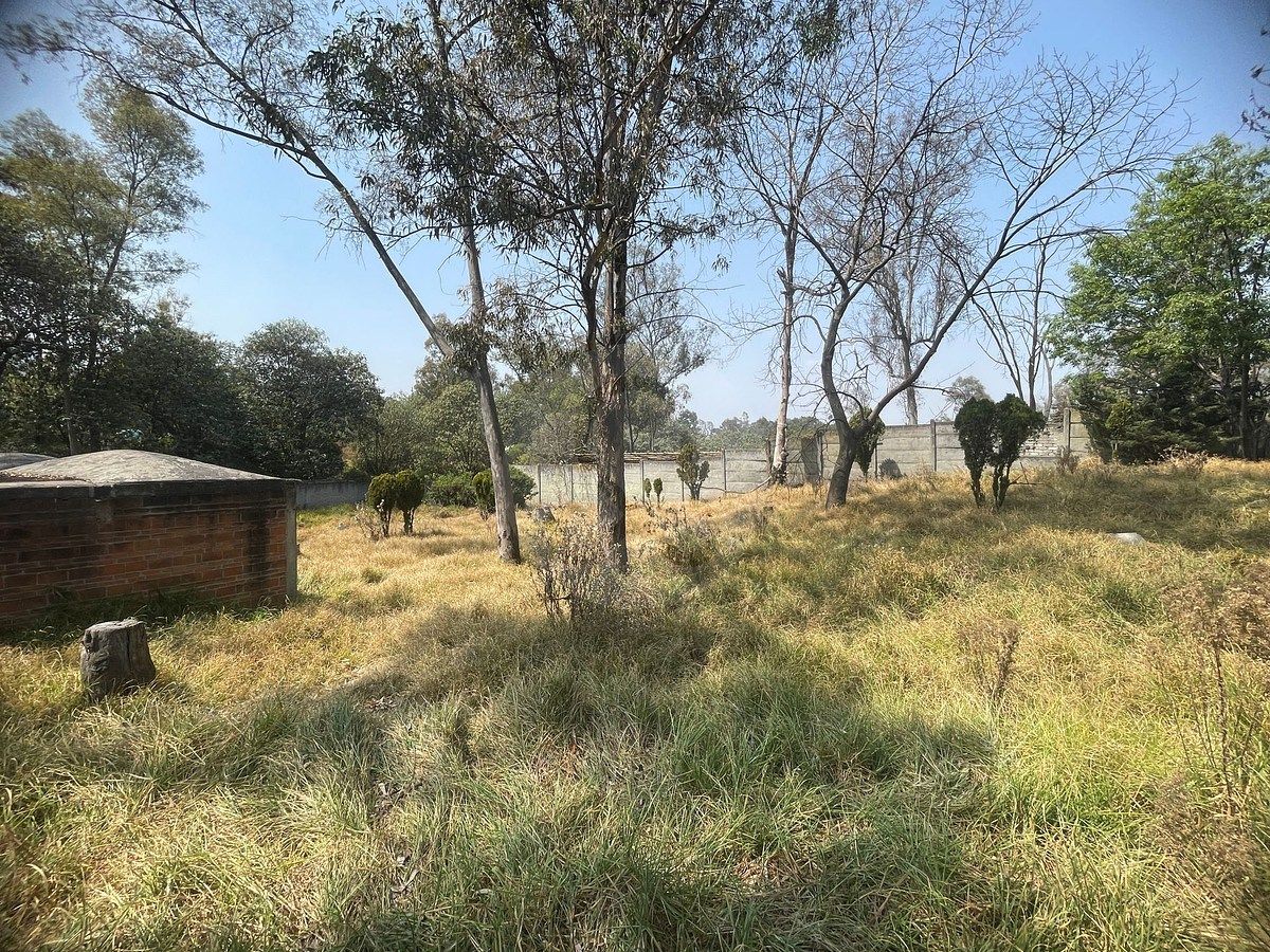 8 de 14