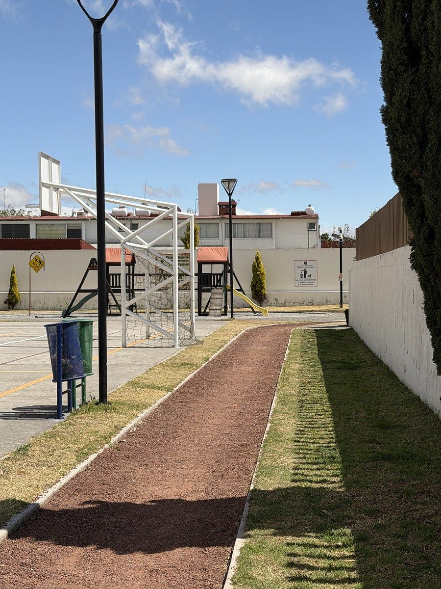 26 de 43: CANCHAS