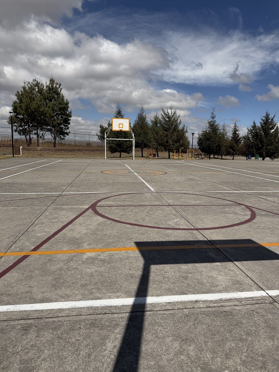 31 de 43: CANCHAS