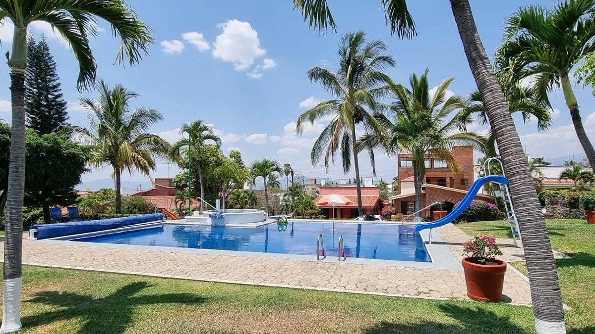 16 de 27: Jardín con palmeras