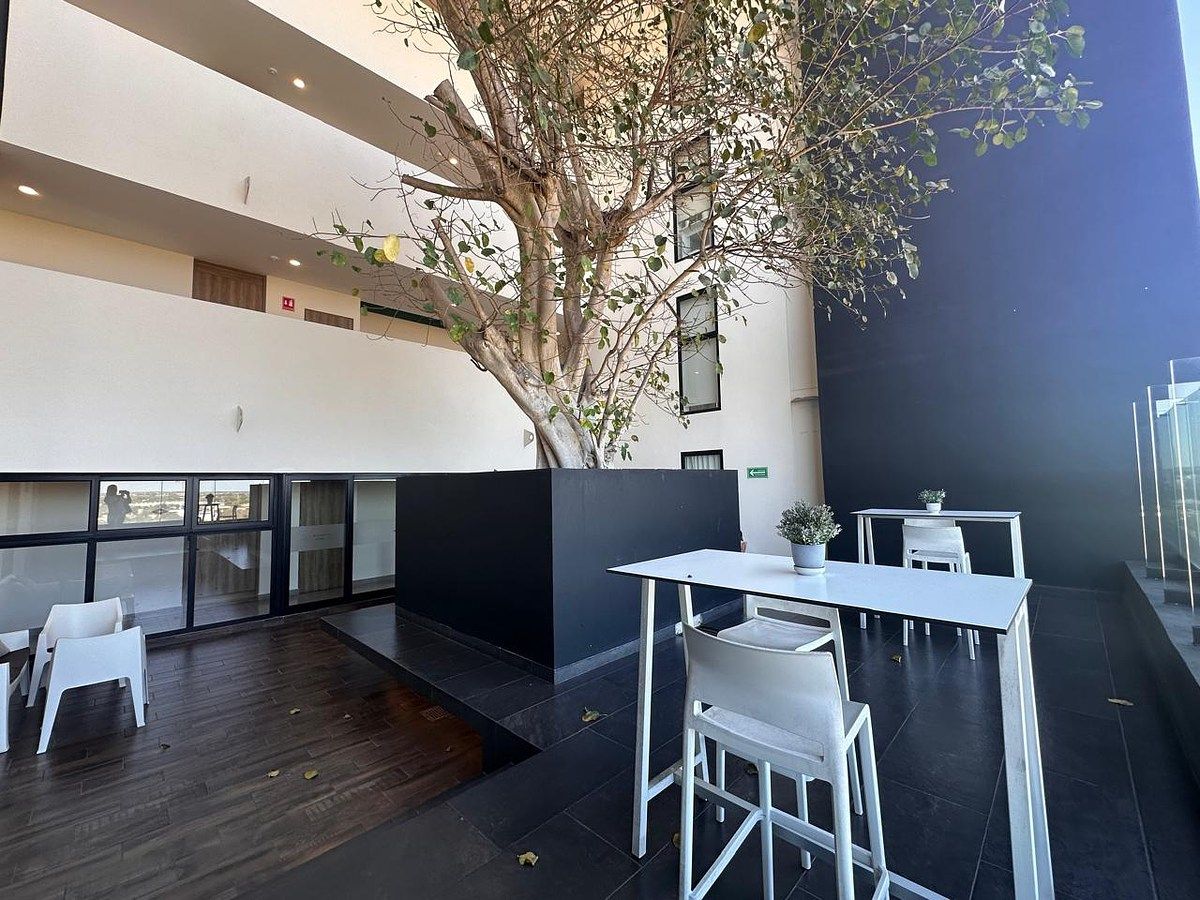 42 de 43: Piso del árbol