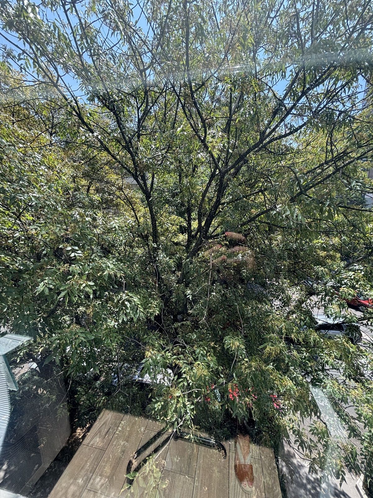 26 de 34