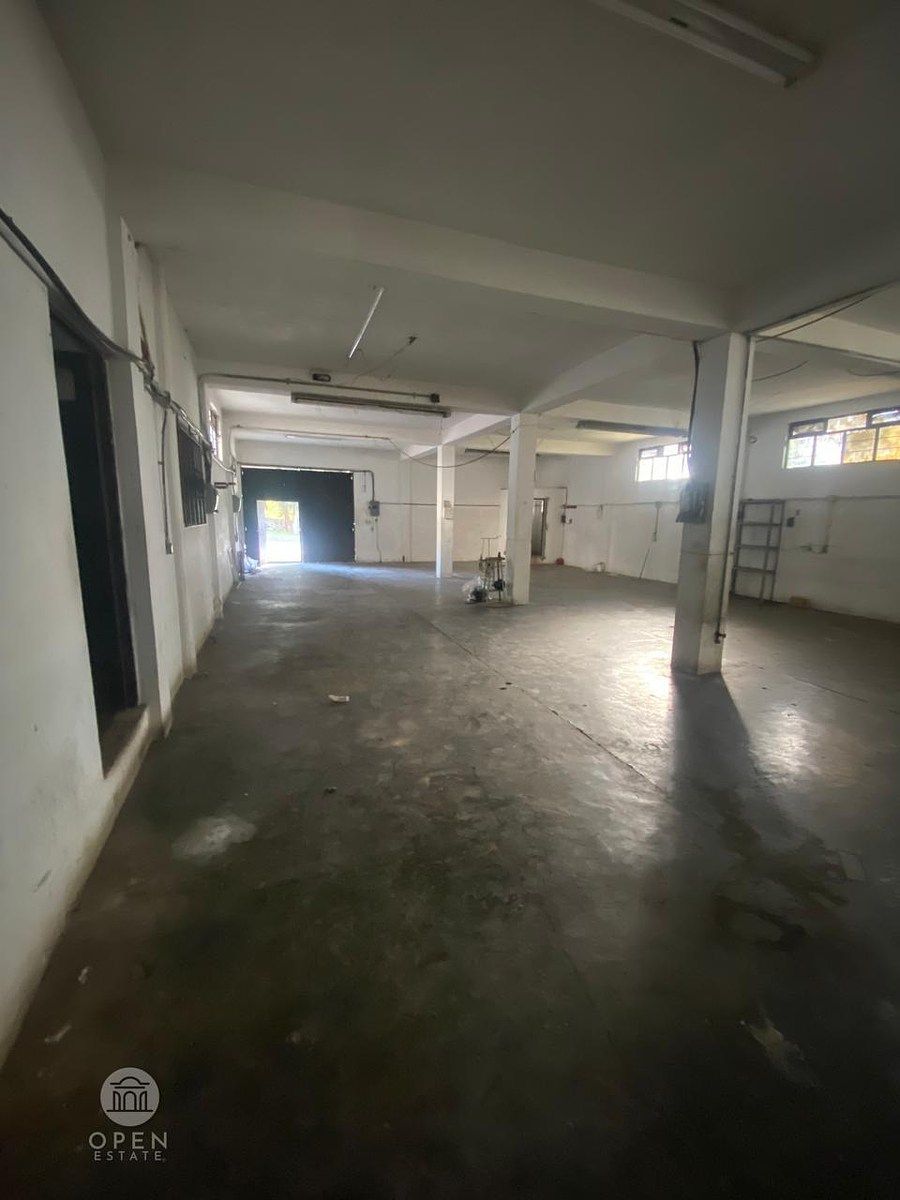 4 de 45: BODEGA GRANDE 25X10