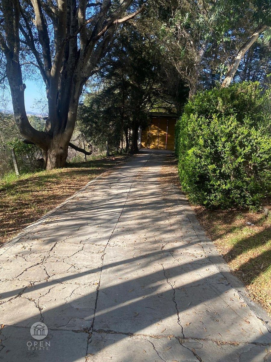 26 de 45: CAMINO ACCESO A BODEGA