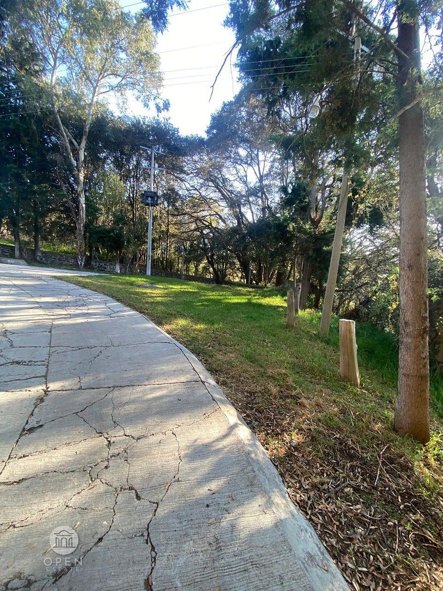 28 de 45: CAMINO ACCESO A BODEGA