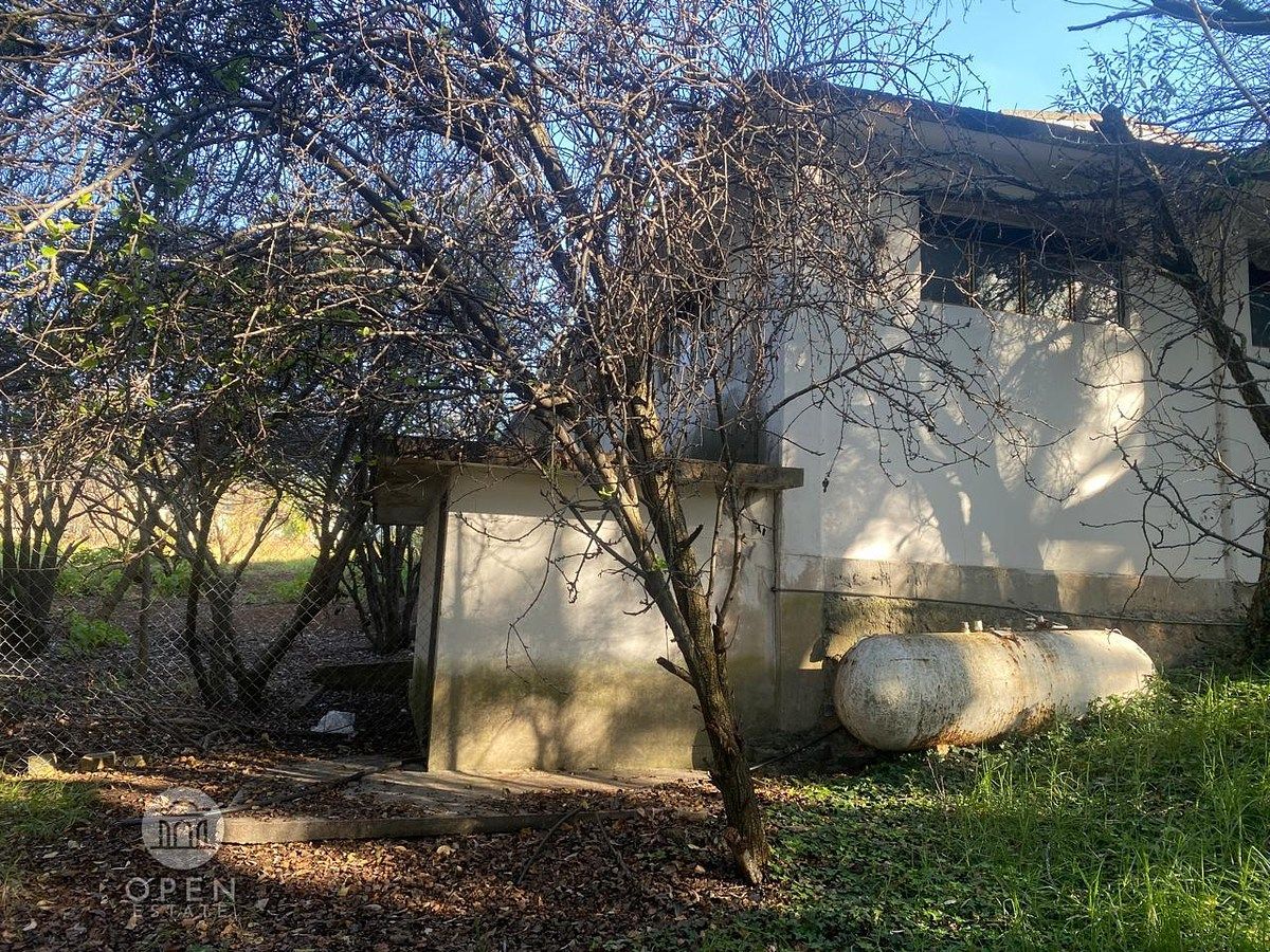 30 de 45: COSTADO DE BODEGA