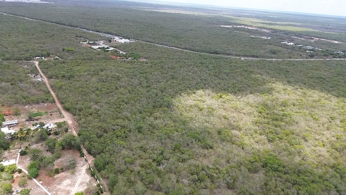 Terreno en San Antonio Tehuitz, Kanasín, foto 6 de 9