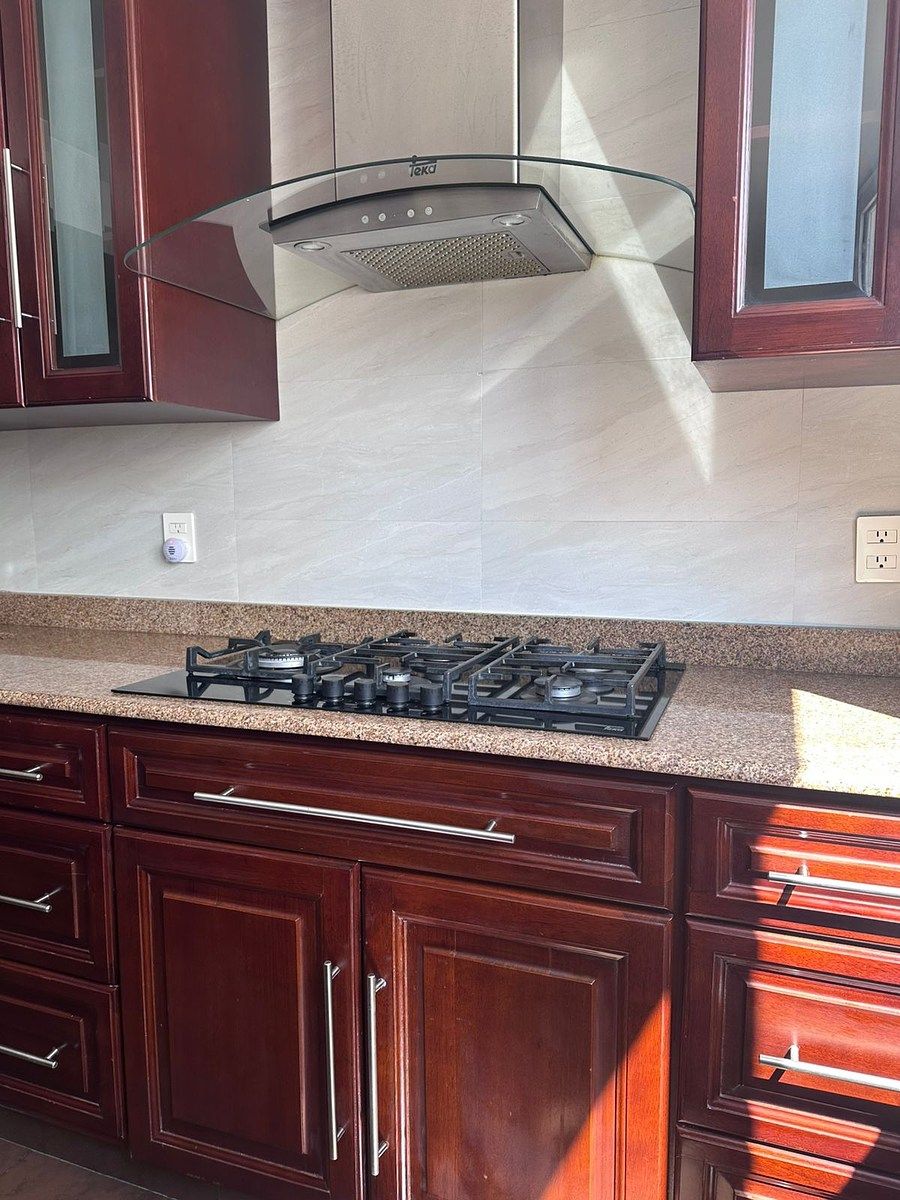 4 de 25: Estufa con campana