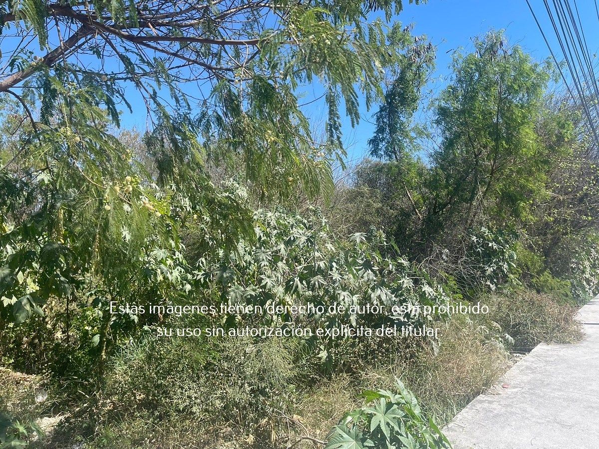 9 de 12: Terreno Comercial en Renta en Ruiz Cortines, Guadalupe, NL