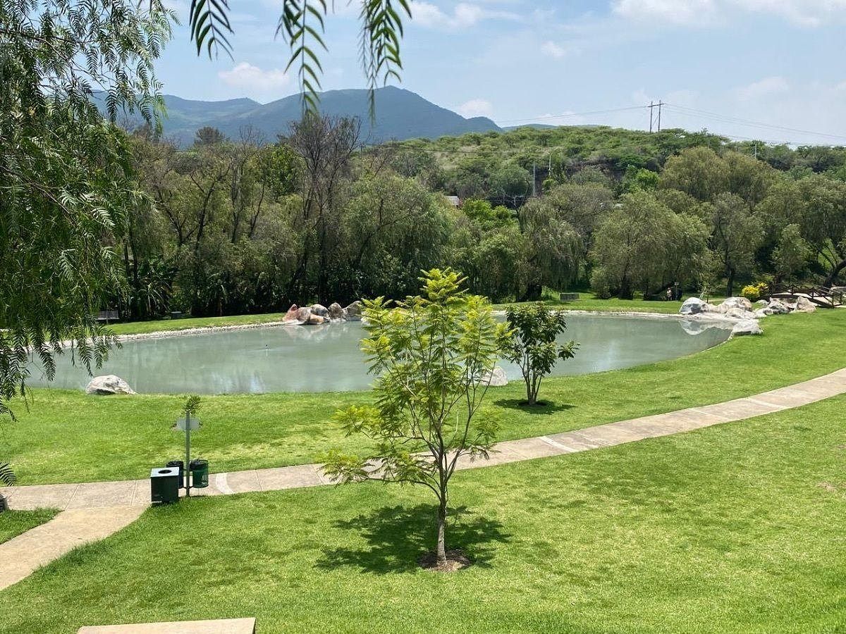 Terreno en Venta Senderos de Monteverde - foto 5