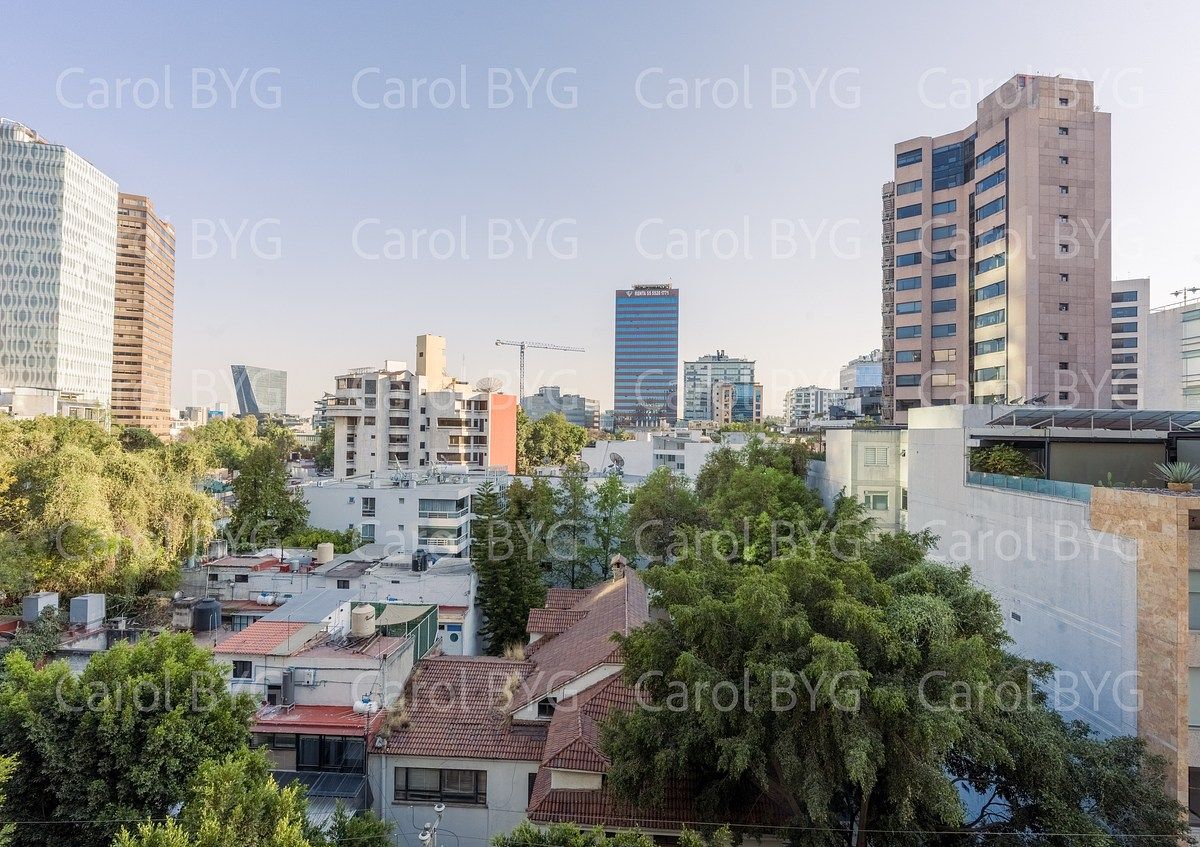 14 de 14: Vista panorámica