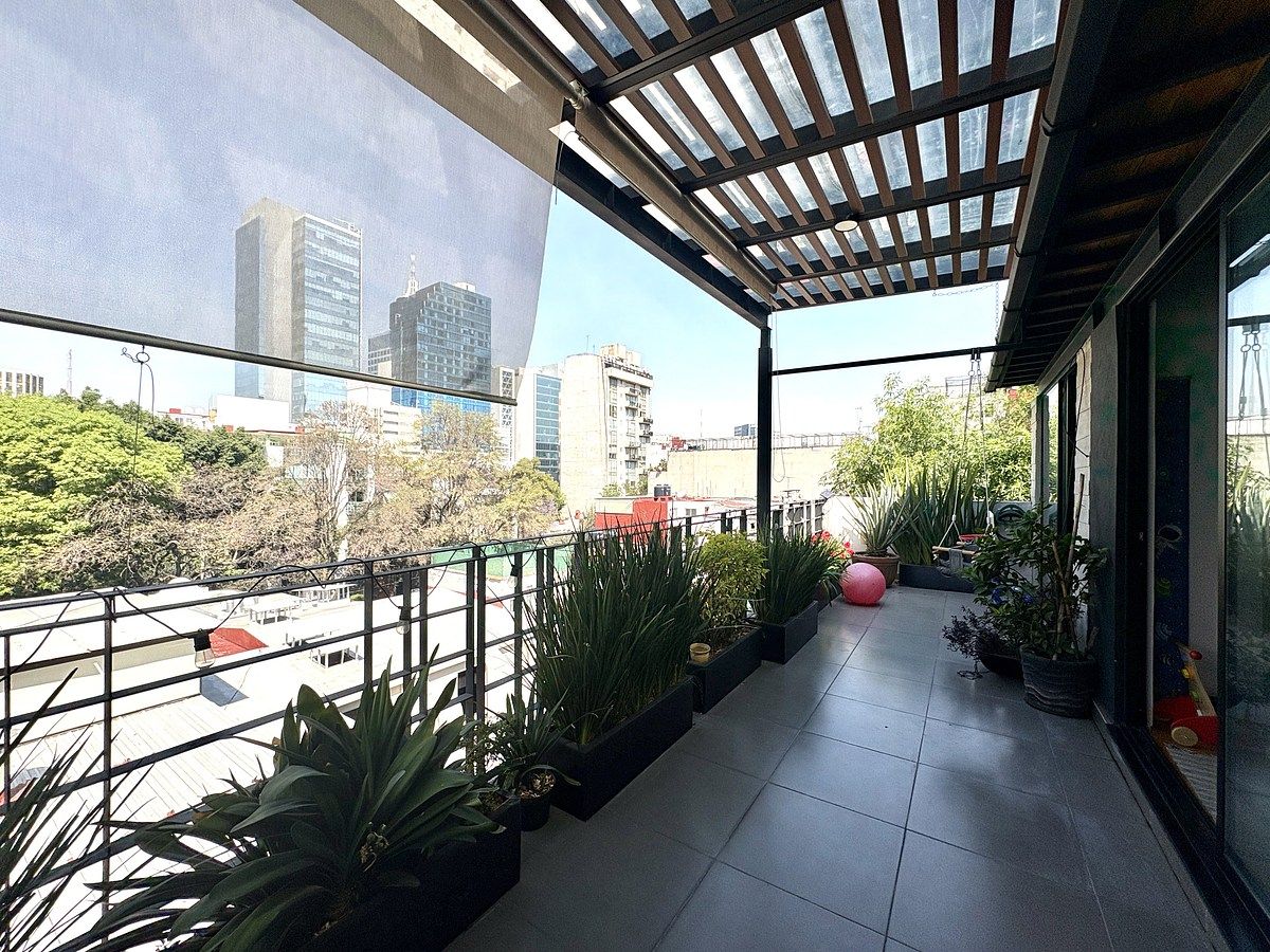 9 de 15: Roof garden