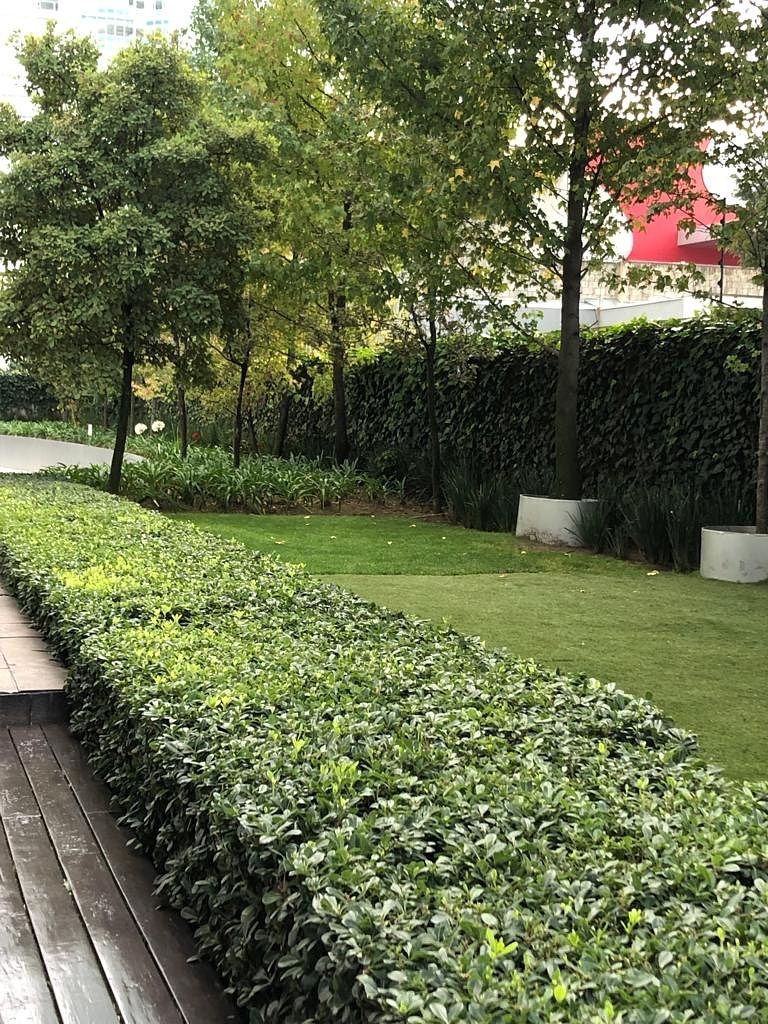 21 of 50: Jardín exterior