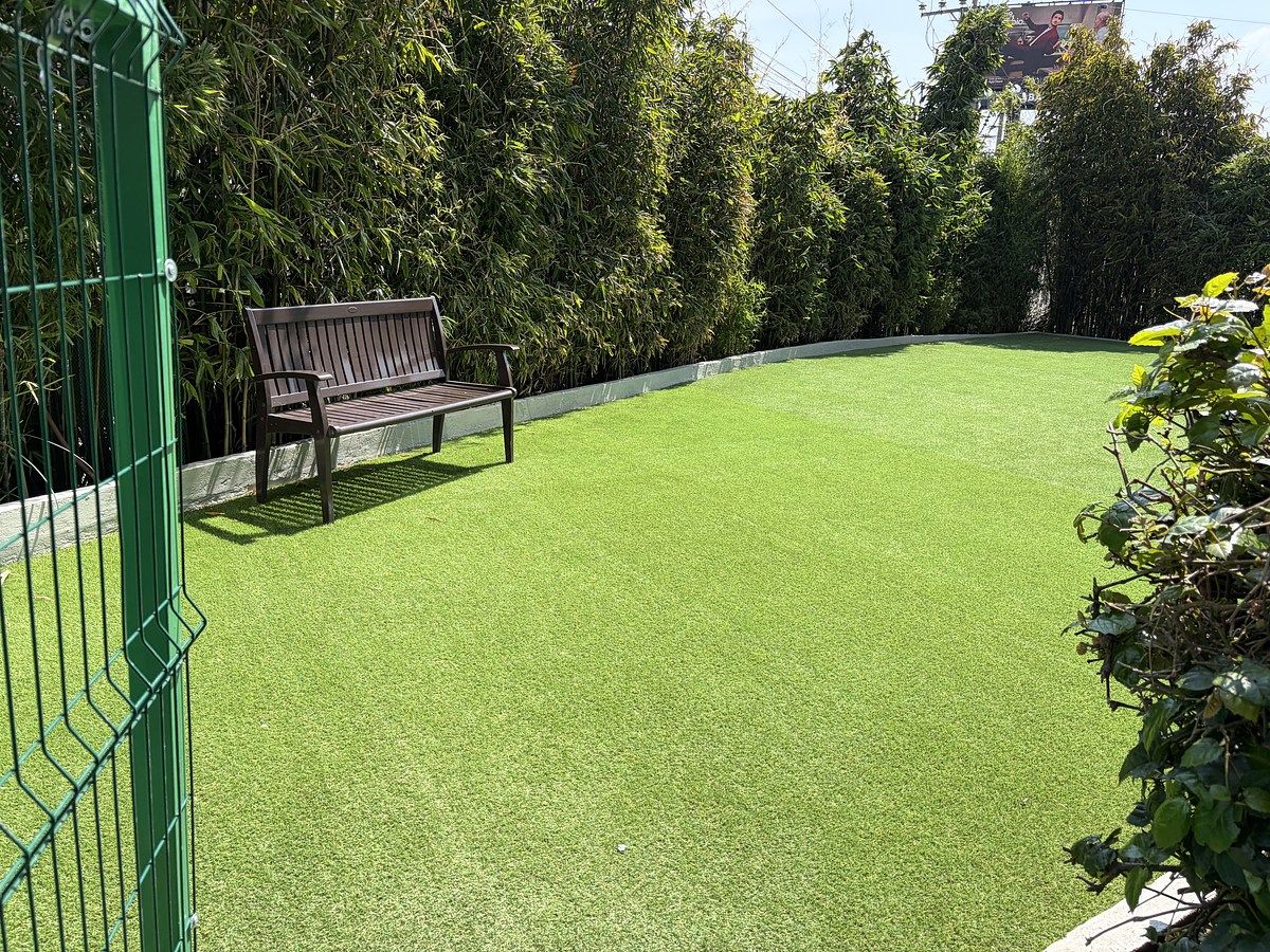 31 of 51: Area Mascotas