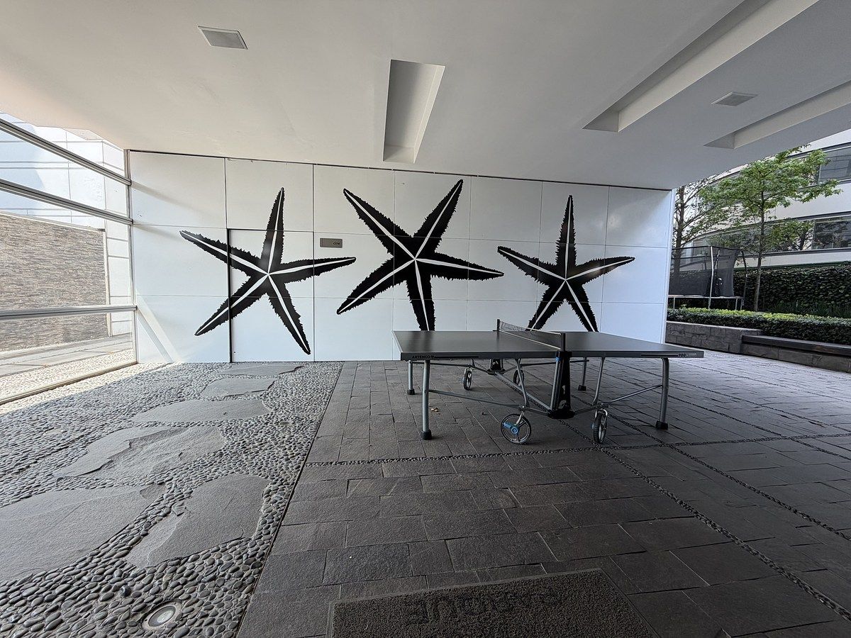 36 of 50: Area de Ping Pong