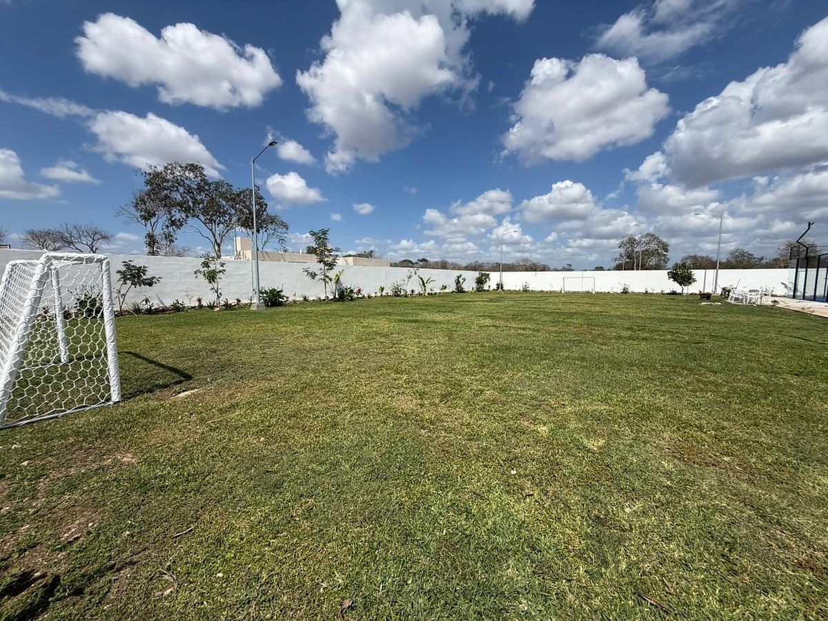 14 de 23: Canchas de futbol pasto natural