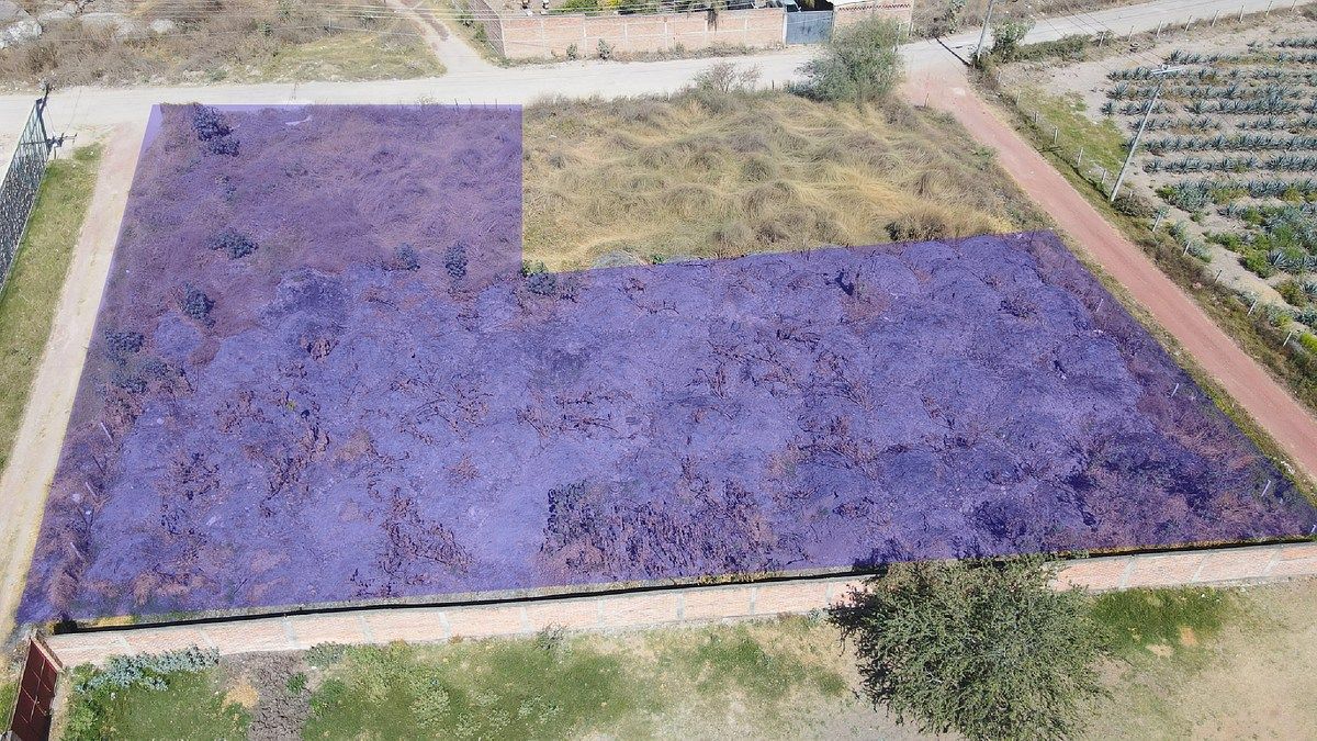 Terreno en venta o renta cerca del Aeropuerto de Guadalajara, Zapote del Valle - foto 3