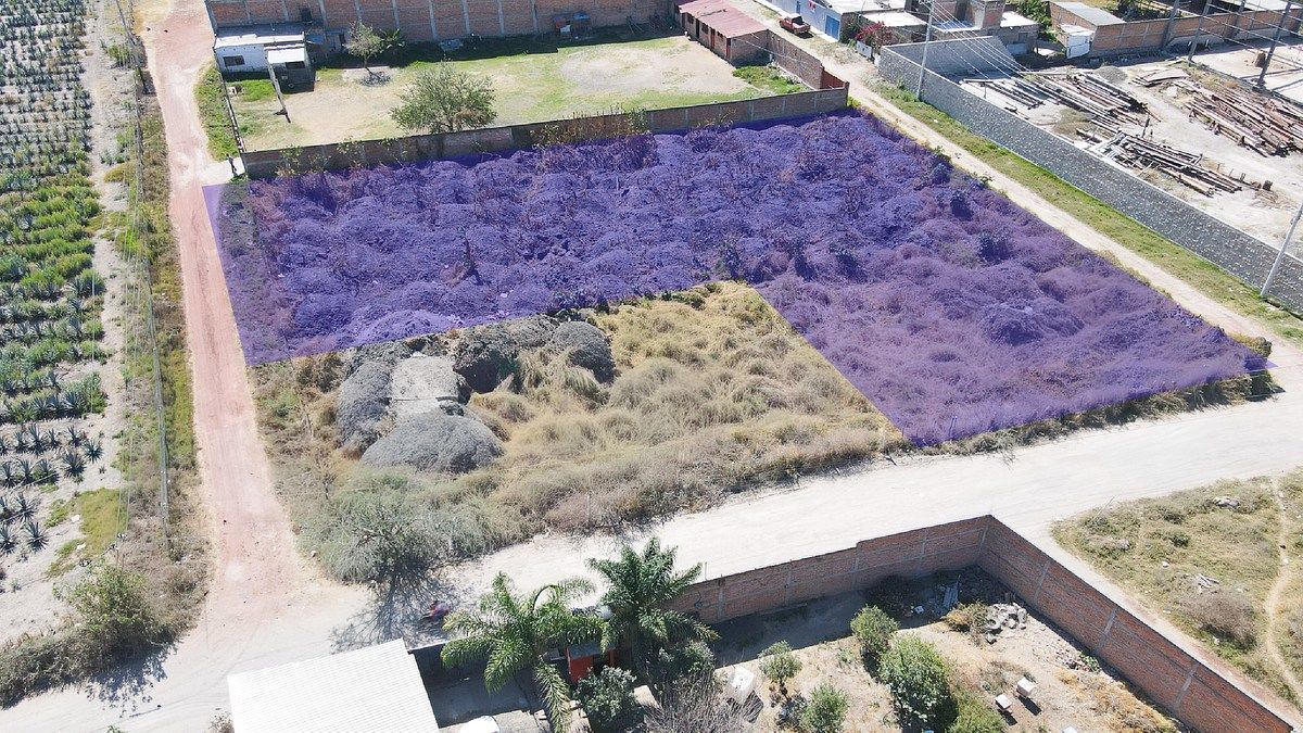 Terreno en venta o renta cerca del Aeropuerto de Guadalajara, Zapote del Valle - foto 2