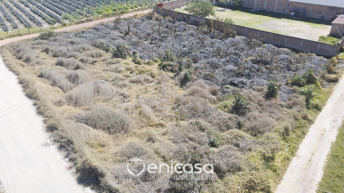 Terreno en venta o renta cerca del Aeropuerto de Guadalajara, Zapote del Valle - foto 4