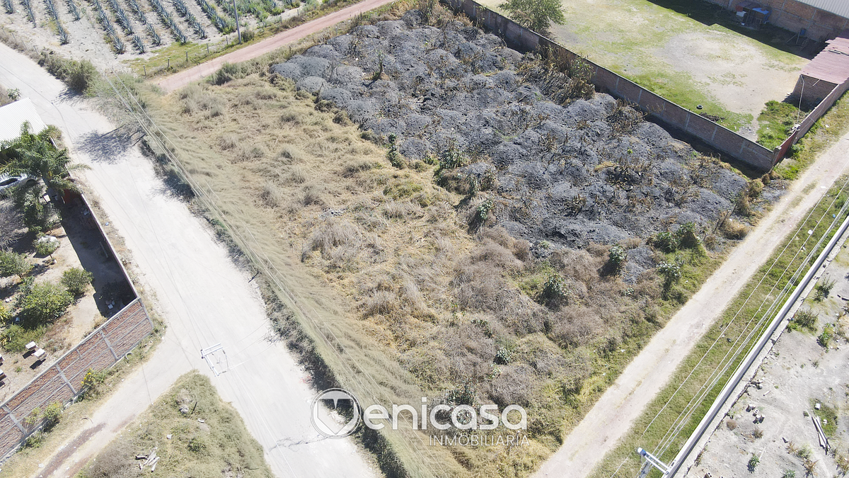 Terreno en venta o renta cerca del Aeropuerto de Guadalajara, Zapote del Valle - foto 1