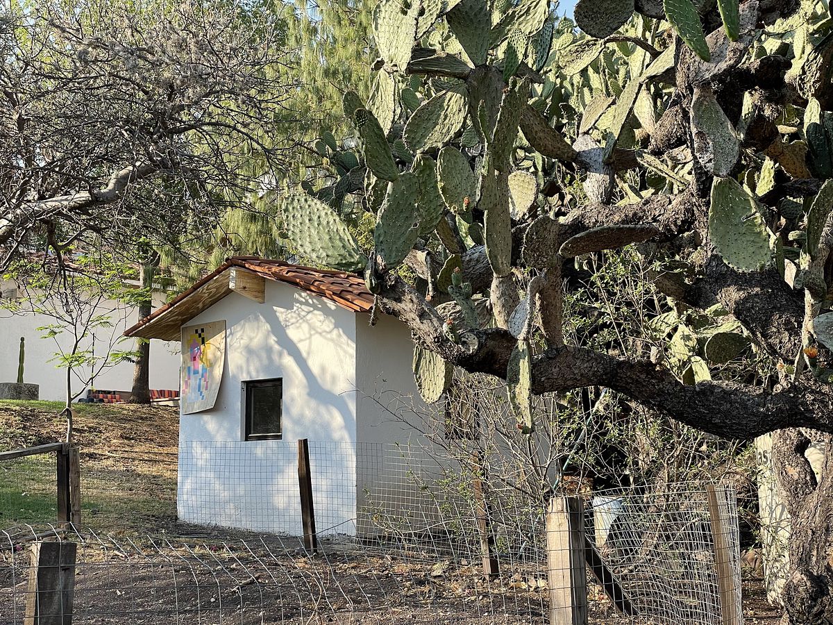 22 of 32: Casa Muñecas