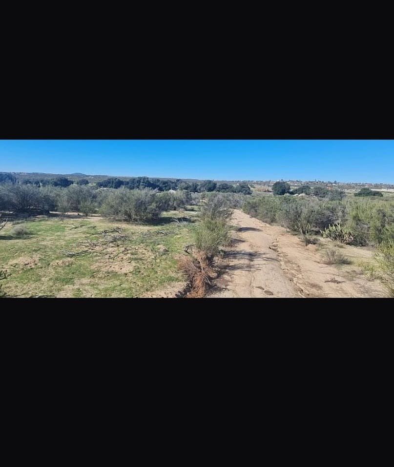 Terreno en Luis Echeverría Álvarez, Tecate, foto 10 de 13
