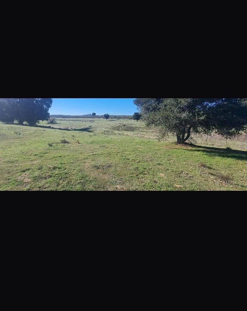Terreno en Luis Echeverría Álvarez, Tecate, foto 12 de 13