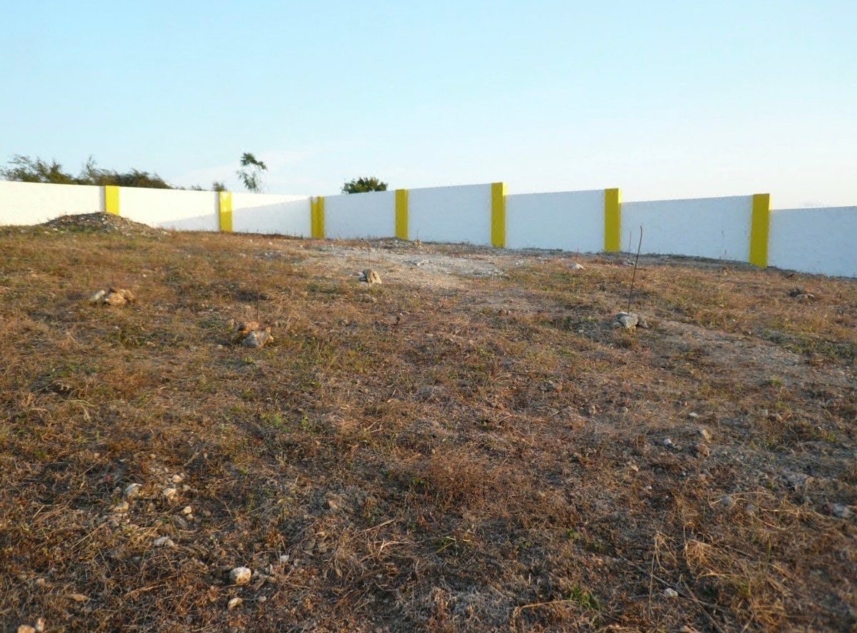 Lot in Villa Isabela, photo 5 of 23
