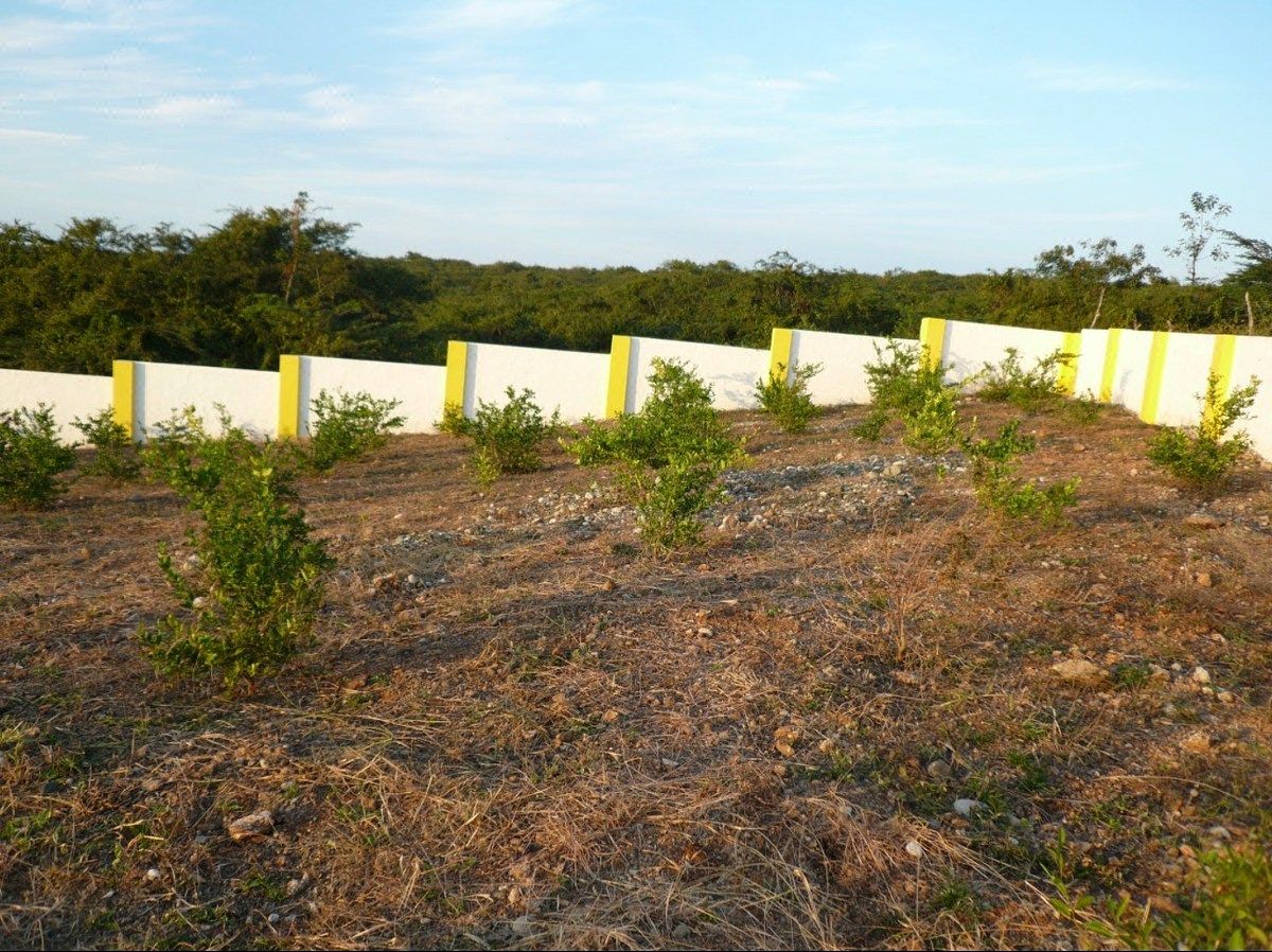 Lot in Villa Isabela, photo 7 of 23