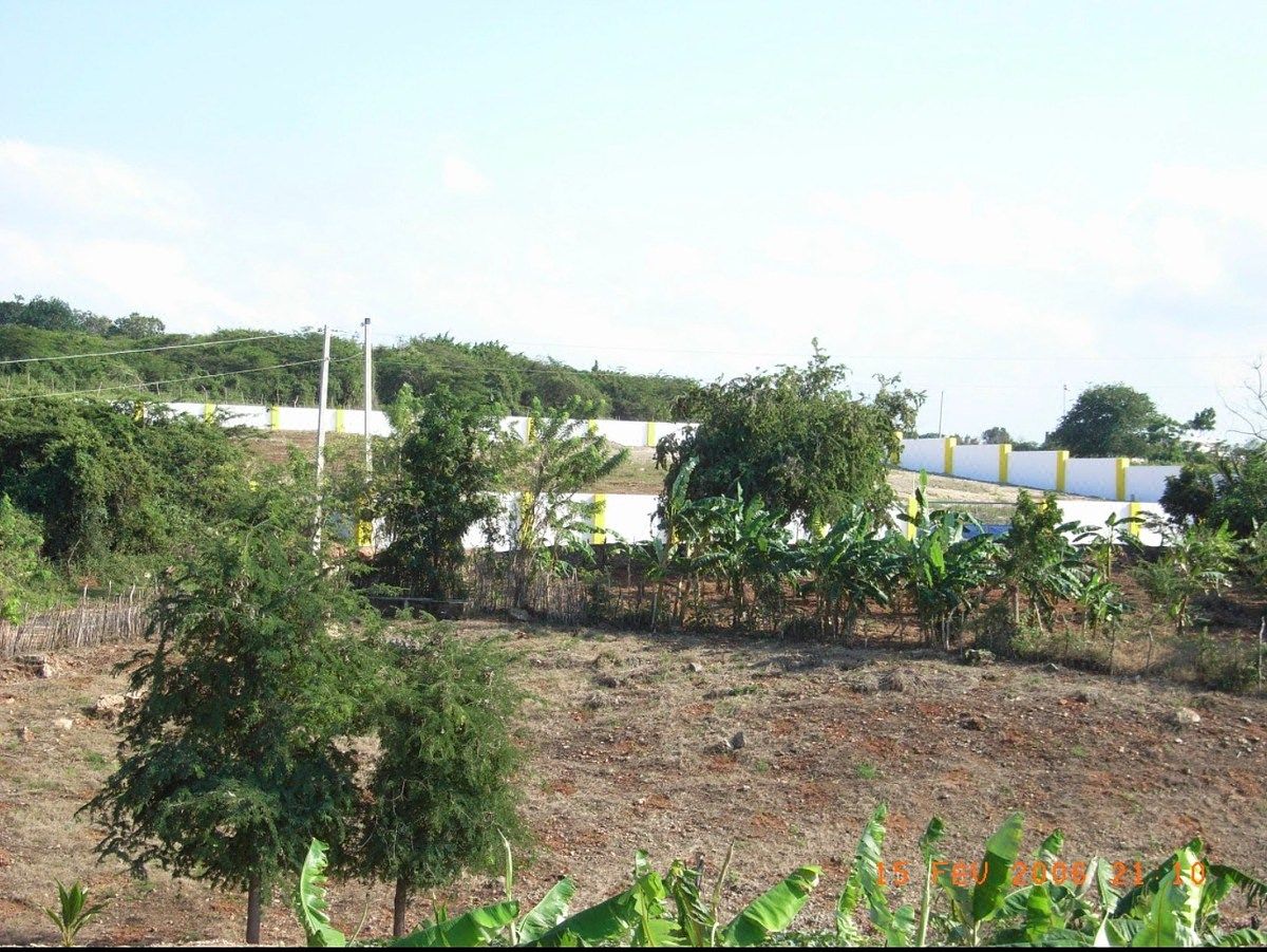 Lot in Villa Isabela, photo 11 of 23