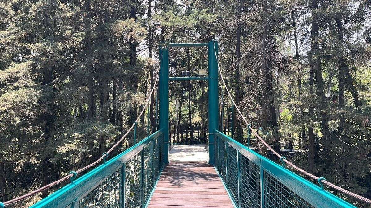 28 of 32: Casa en Venta Fraccionamiento Casa de Campo Rayo Vende ®